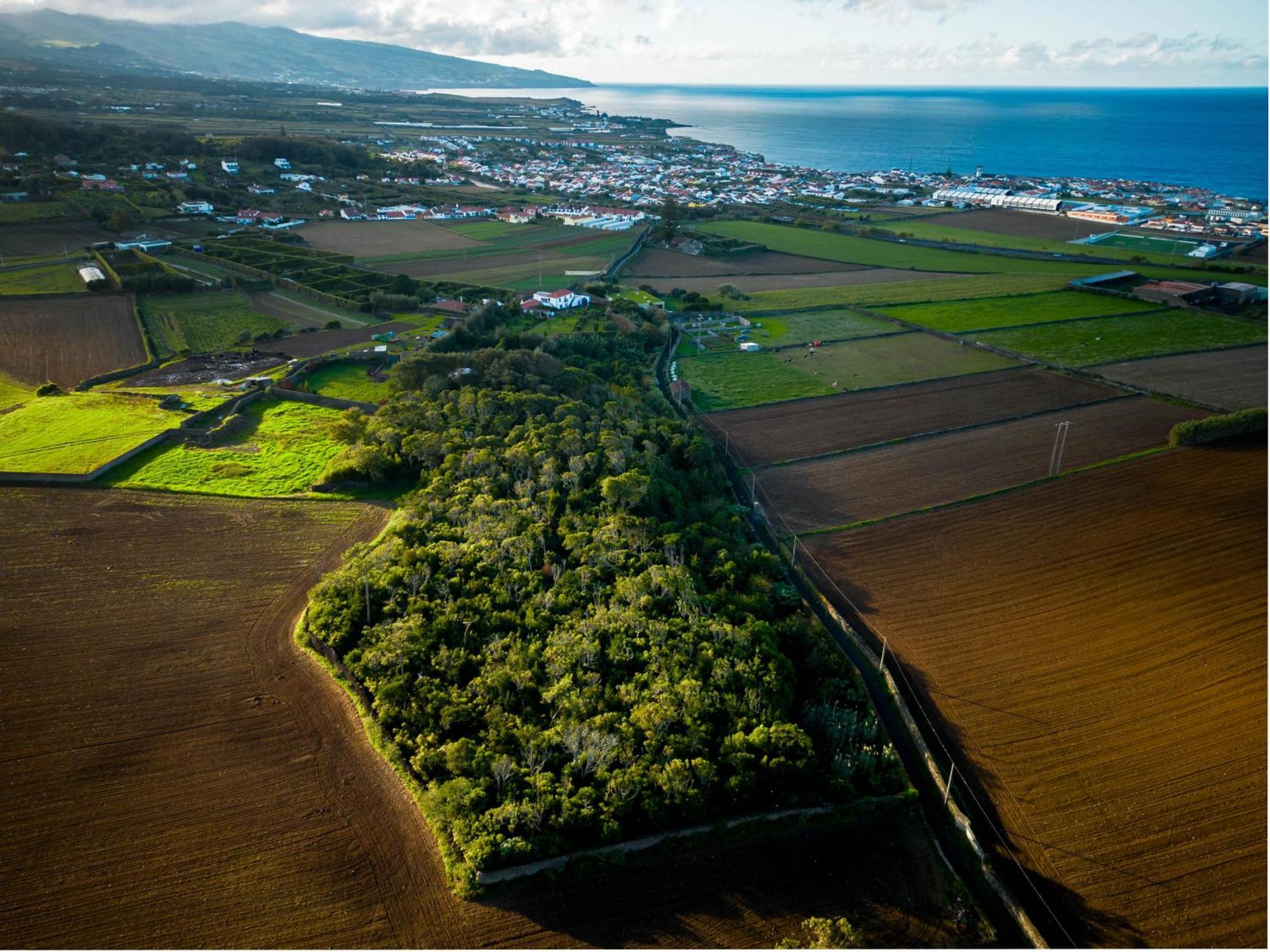 Quinta Morazes Casas De Campo Ribeira Grande Exteriér fotografie