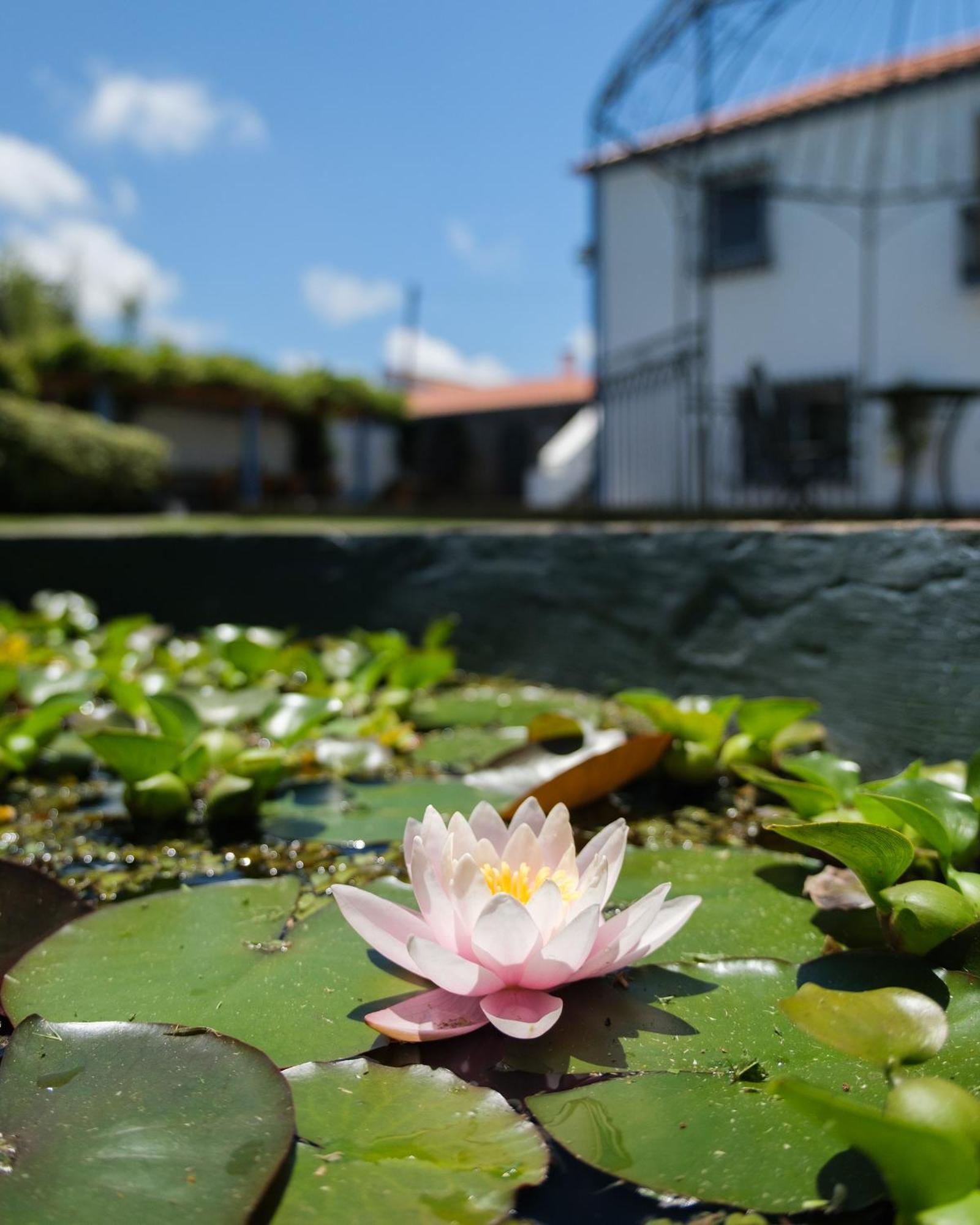 Quinta Morazes Casas De Campo Ribeira Grande Exteriér fotografie